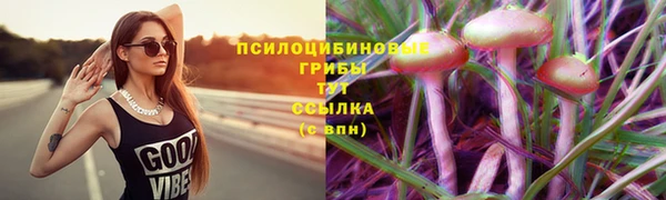 гашишное масло Аркадак