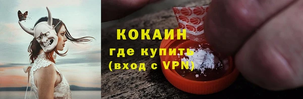 гашик Арсеньев