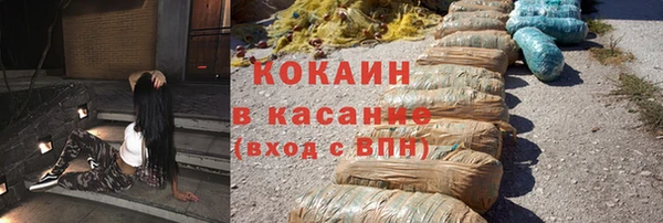 гашик Арсеньев