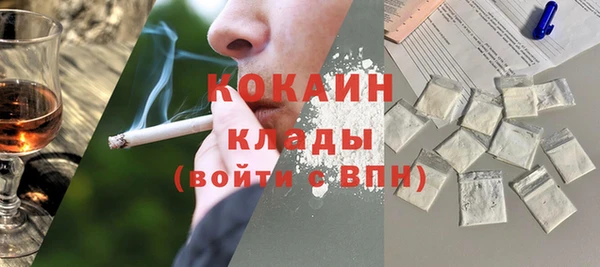 гашик Арсеньев