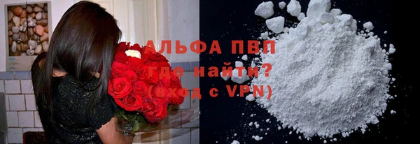 гашик Арсеньев