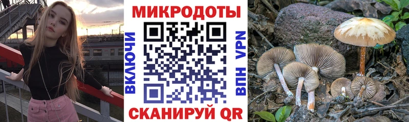Псилоцибиновые грибы прущие грибы  Ясный 